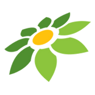 VCS MOD APK